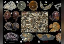 L’Enfer Nucléaire Retrouvé dans les Plages D’Hiroshima L’Enfer Nucléaire Retrouvé dans les Plages D’Hiroshima