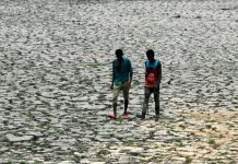 Canicules Rendent des Régions Invivables dans Décennies Canicules Rendent des Régions Invivables dans Décennies