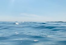 Sous la Mer, L’Eau Douce Sous la Mer, L’Eau Douce