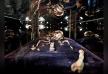 Les Cousins Inattendus des Grandes Découvertes Les Cousins Inattendus des Grandes Découvertes