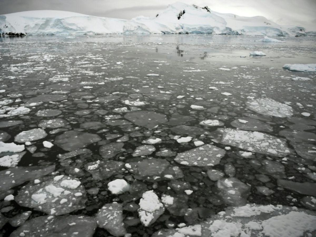 Banquise Antarctique Atteint Niveau Historique Bas Banquise Antarctique Atteint Niveau Historique Bas