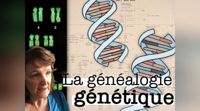Généalogie Génétique: Solution aux Cold Cases ou Menace? Généalogie Génétique: Solution aux Cold Cases ou Menace?