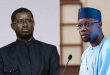 Diomaye et Sonko: Conseils du Juriste Mouhamet Seyni Sow Diomaye et Sonko: Conseils du Juriste Mouhamet Seyni Sow