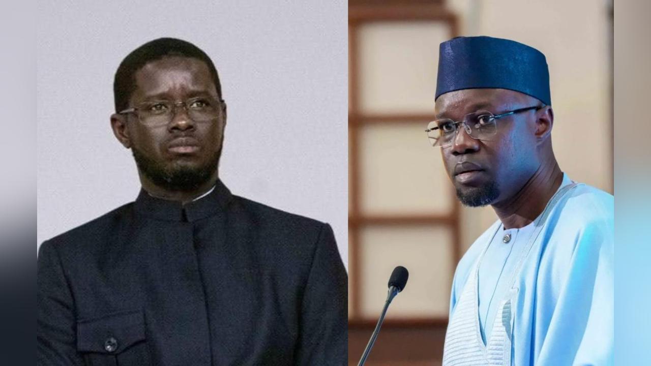 Diomaye et Sonko: Conseils du Juriste Mouhamet Seyni Sow Diomaye et Sonko: Conseils du Juriste Mouhamet Seyni Sow