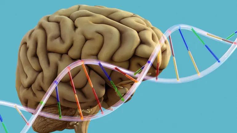 Intelligence: quel RôLe pour la Génétique et L’épigénétique? Intelligence: quel RôLe pour la Génétique et L’épigénétique?