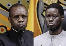 Tensions avec Pastef: Ministre Fait Allégeance Diomaye Tensions avec Pastef: Ministre Fait Allégeance Diomaye