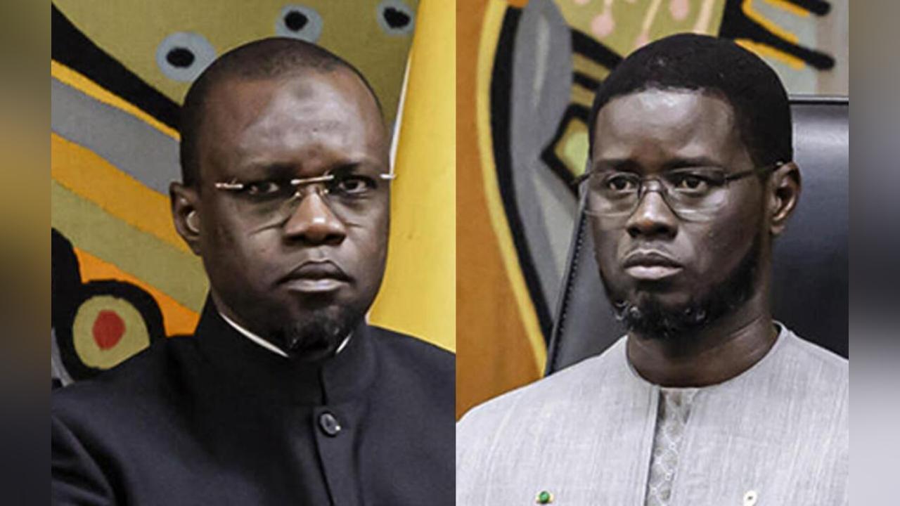 Tensions avec Pastef: Ministre Fait Allégeance Diomaye Tensions avec Pastef: Ministre Fait Allégeance Diomaye