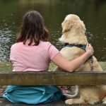 Gènes Comportementaux Partagés avec les Golden Retrievers Gènes Comportementaux Partagés avec les Golden Retrievers