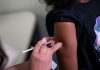 Premier Vaccin Contre la Dengue Approuvé au Brésil Premier Vaccin Contre la Dengue Approuvé au Brésil