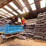 Meuniers S’Engagent à Acheter 25 000 Tonnes de Maïs Meuniers S'Engagent à Acheter 25 000 Tonnes de Maïs