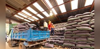 Meuniers S’Engagent à Acheter 25 000 Tonnes de Maïs Meuniers S'Engagent à Acheter 25 000 Tonnes de Maïs