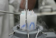 Enfants Conçus avec Donneur Danois Risque Cancer Enfants Conçus avec Donneur Danois Risque Cancer