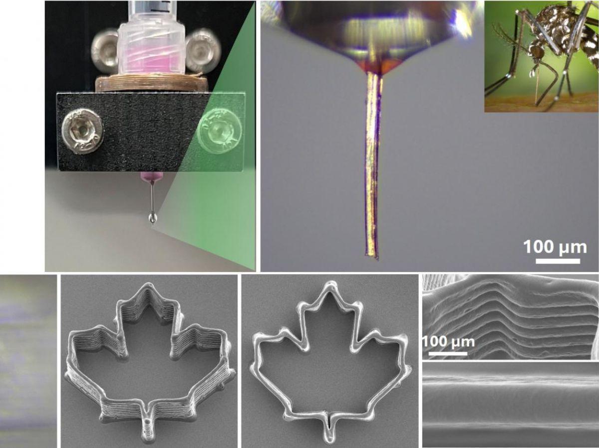 Impression 3D avec Trompe de Moustique Nécro-Impression Impression 3D avec Trompe de Moustique Nécro-Impression