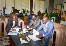 Dethie Fall Ajoute une Nouvelle Corde À Son Arc Dethie Fall Ajoute une Nouvelle Corde À Son Arc