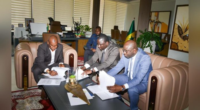 Dethie Fall Ajoute une Nouvelle Corde À Son Arc Dethie Fall Ajoute une Nouvelle Corde À Son Arc