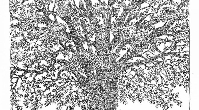 L’Homme qui Plantait des Arbres Revisité en Dessins L’Homme qui Plantait des Arbres Revisité en Dessins