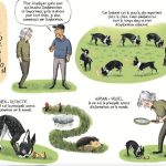 Comprendre les Chiens pour Noël Oubliez Vos Idées Comprendre les Chiens pour Noël Oubliez Vos Idées