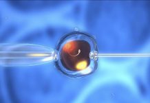 Bébés ConçUs par PMA Grandissent-Ils comme les Autres? Bébés ConçUs par PMA Grandissent-Ils comme les Autres?