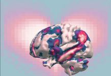 Amour Romantique, Parental, Amical ou Animal: le Plus Fort? Amour Romantique, Parental, Amical ou Animal: le Plus Fort?