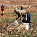 Le RôLe des Femmes dans la Stabilité Macroéconomique Le RôLe des Femmes dans la Stabilité Macroéconomique