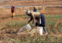 Le RôLe des Femmes dans la Stabilité Macroéconomique Le RôLe des Femmes dans la Stabilité Macroéconomique