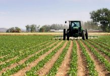 Pouvoir D’Achat et Avancées en Agriculture et Industrie Pouvoir D’Achat et Avancées en Agriculture et Industrie