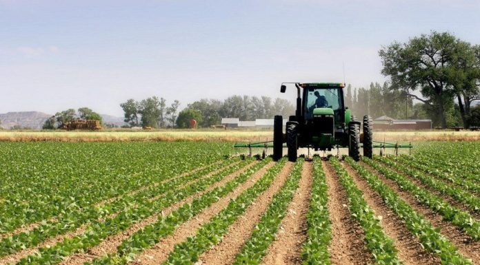 Pouvoir D’Achat et Avancées en Agriculture et Industrie Pouvoir D’Achat et Avancées en Agriculture et Industrie