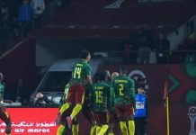 Efficacité Camerounaise Contre Afrique du Sud Dominatrice Efficacité Camerounaise Contre Afrique du Sud Dominatrice