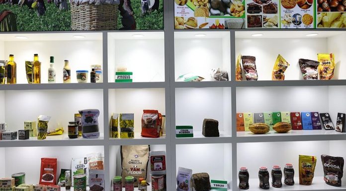 Échanges Humains et Culturels Chine-Afrique en 2026 Échanges Humains et Culturels Chine-Afrique en 2026