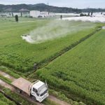 Produits Chimiques et Perturbation du Microbiote Intestinal Produits Chimiques et Perturbation du Microbiote Intestinal