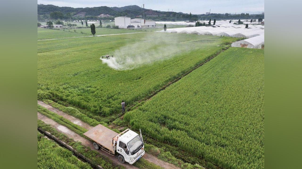 Produits Chimiques et Perturbation du Microbiote Intestinal Produits Chimiques et Perturbation du Microbiote Intestinal