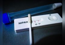 Virus Nipah en Inde: L’Europe Doit-Elle S’inquiéter? Virus Nipah en Inde: L’Europe Doit-Elle S’inquiéter?