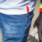 Réseau Pédocriminel Franco-Sénégalais: 14 Interpellations Réseau Pédocriminel Franco-Sénégalais: 14 Interpellations