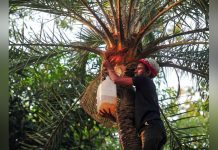 Nipah et autres Virus Rendant le Diagnostic Difficile Nipah et autres Virus Rendant le Diagnostic Difficile