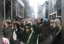 Cheveux et Pollution au Plomb: Mémoire Enregistrée Cheveux et Pollution au Plomb: Mémoire Enregistrée