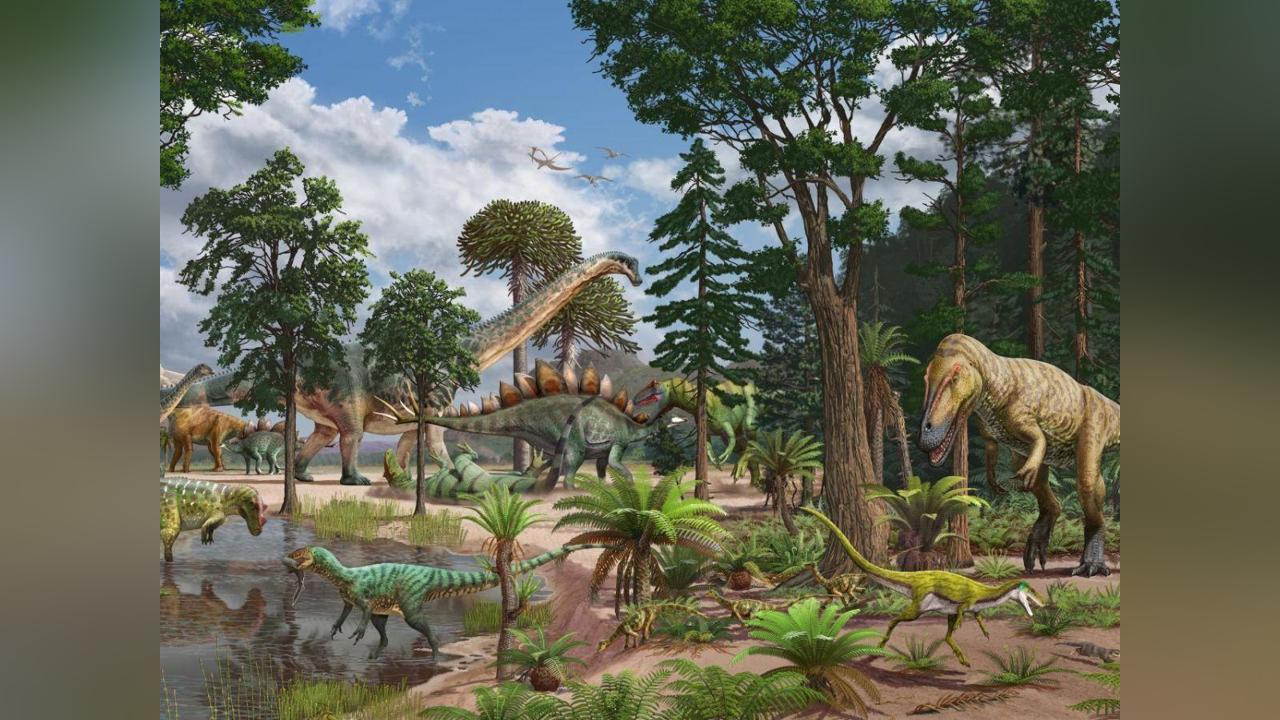 Au Jurassique, les Bébés Sauropodes Servaient de Proies Au Jurassique, les Bébés Sauropodes Servaient de Proies