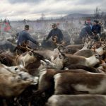 Les Samis, un Peuple en Sursis? Les Samis, un Peuple en Sursis?