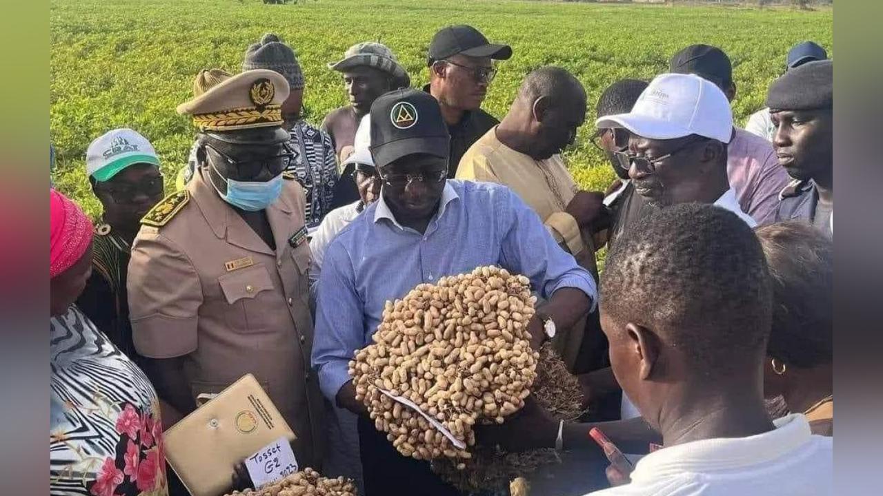 Sénégal 2050: Coopératives Agricoles pour Souveraineté Sénégal 2050: Coopératives Agricoles pour Souveraineté