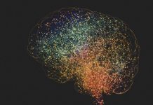 Prise de Sang Prédictive pour Alzheimer et Démences Prise de Sang Prédictive pour Alzheimer et Démences