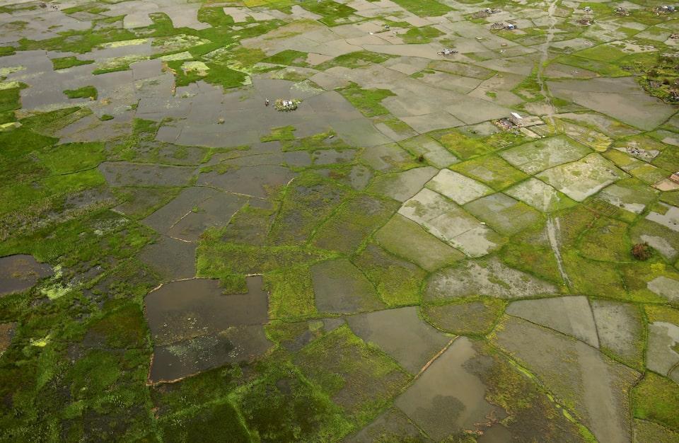 Afrique: Pertes de 10-20 Milliards $ Dues à El Niño Afrique: Pertes de 10-20 Milliards $ Dues à El Niño