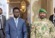 Le Sénégal Réaffirme Son Soutien au Mali Le Sénégal Réaffirme Son Soutien au Mali