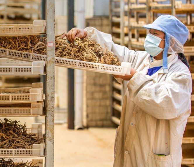 How your diet can treat diseases How your diet can treat diseases