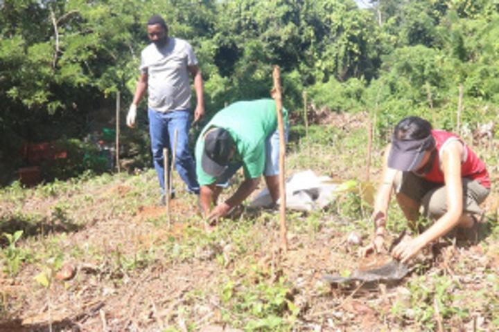 Seychelles' delegates to UN climate summit plant trees to offset carbon footprint of travelling to Glasgow Seychelles' delegates to UN climate summit plant trees to offset carbon footprint of travelling to Glasgow