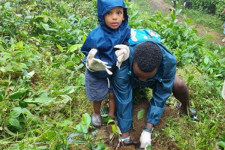 French father and son plant endemic trees in Seychelles to offset carbon footprint for island holiday French father and son plant endemic trees in Seychelles to offset carbon footprint for island holiday