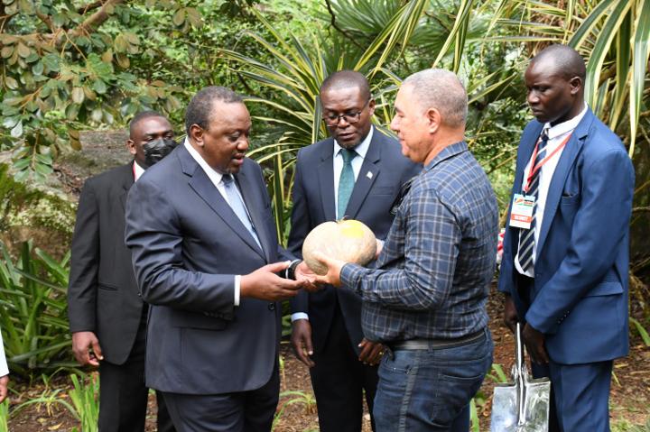 President Kenyatta seals visit with symbolic tree-planting President Kenyatta seals visit with symbolic tree-planting