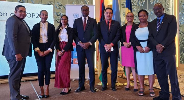 Joint Sustainable Development Goals Fund Project for Mauritius and Seychelles Joint Sustainable Development Goals Fund Project for Mauritius and Seychelles