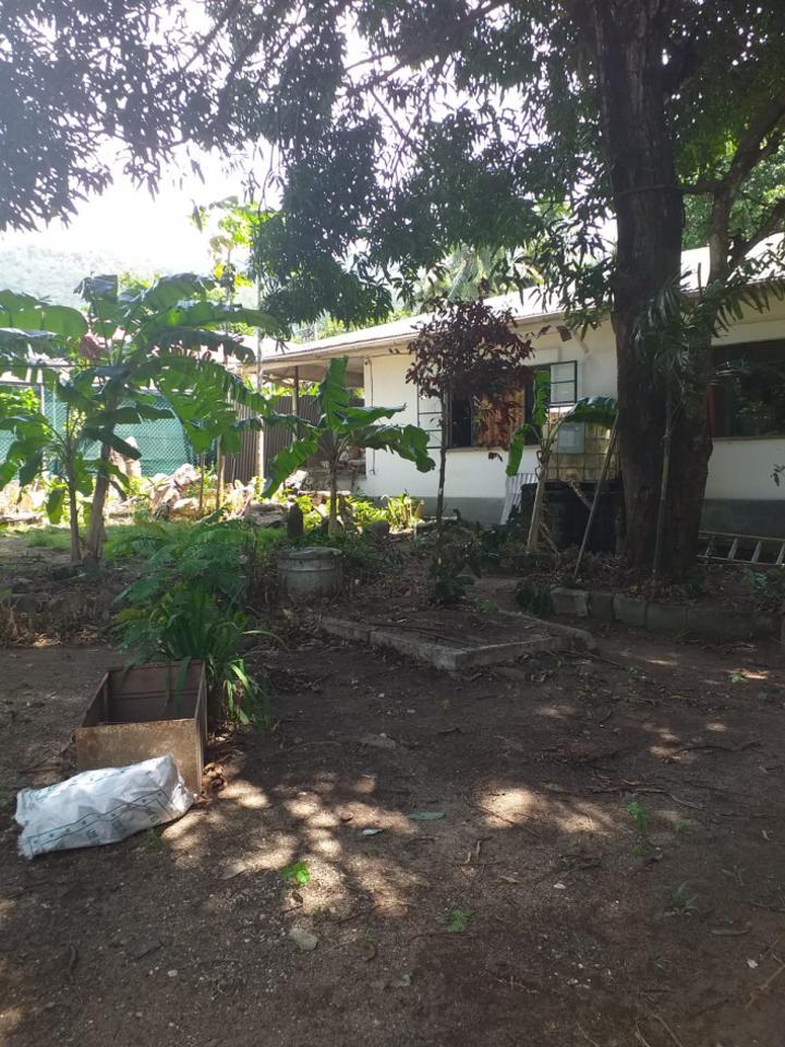 Clean Up The World: Family department and Seychelles Defence Forces team up to beautify elderly gentleman's residence Clean Up The World: Family department and Seychelles Defence Forces team up to beautify elderly gentleman's residence