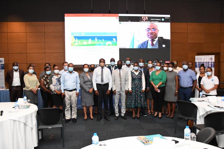 FAO supports Seychelles in drafting antimicrobial resistance action plan FAO supports Seychelles in drafting antimicrobial resistance action plan