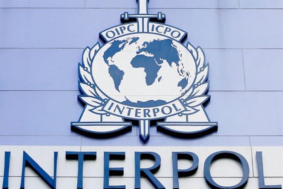 Interpol: Financial and computer crimes are top threats Interpol: Financial and computer crimes are top threats