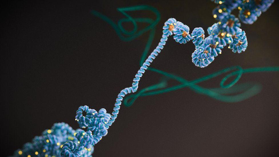 'Dark matter' find could change cancer treatment 'Dark matter' find could change cancer treatment